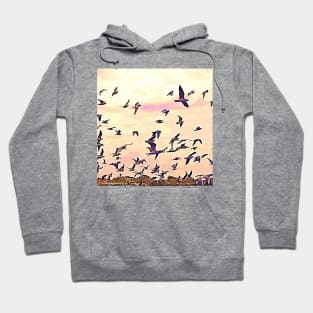 Birds flying in the sky, 1, bird, birds, seagull, seagulls, swan, waterfowl, swan, sky, freedom, summer, spring, Hoodie